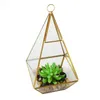 Terrario colgante de pirámide alta, jardinera de latón de vidrio de alta calidad para cactus suculentos, jarrón de centro de mesa geométrico moderno, negro y dorado
