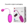 Bluetooth USB rechargeable sans fil App télécommande saut oeuf vibrateurs Silicone vibrant oeuf vibrateur Sex Toys pour femme Y19126735540