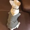 春の新しい犬のテリーセーターテディスモールドッグストリートファッション服アダルトペットレジャー親子着衣コートアウターウェア