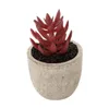 Artificial potted succulent with ECO-friendly pulp pot PVC material Potted Succulent Bonsai Set creative office artificial Flower