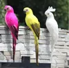 Wohnaccessoires Neuheiten Kleintiere Simulierter Ara Fenstergartendekoration Vogel Schaumstofffeder Papagei Einrichtung 35 cm