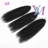 VMAe Afro Kinky Curly 4a 4b 4c 100g 14 till 26 tums naturlig färg Mongolian Remy Virgin Tape In Human Hair Extensions