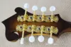 Mandolin classic electric guitar Mandolin pure manual customized 8-string complex high-end customization