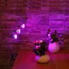 LED coltiva la luce 21W della clip Lampada di Full Spectrum con 360 gradi flessibile a collo di cigno Luce per Office Home Indoor Garden Serra