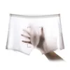 shorts transparent mens