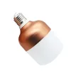 Edison2011 LED-lampa E27 220V LED-lampa 6W 10W 15W 20W 28W 38W hög effekt LED lampor tabelllampor kall vit