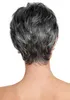 Coupe de lutin courte ombre Silver Gris Wigs Natural Grey Hair Short Straitement Full Wig7306030