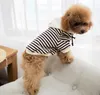 Frühling neue hund terry pullover Teddy kleine hund street fashion kleidung erwachsene haustier freizeit eltern-kind-abnutzung mantel Outer