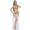 Performans 2018 Göbek Dans Giyim Doğu Dans Kıyafet Seti Bra Kemer Bölünmüş Etek Kadınlar Göbek Dans Kostümü 3pcs8919048