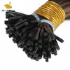 Black Brown Mix Color #1b/#6 I tip Human Hair Extensions High Quality VirginHair Natural Wave Wavy 100g/pack