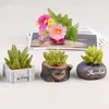 Craft Mini Simulatie Hars Succulents Modellen Tuin Miniaturen Potplanten Ornament Home Decor