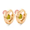 Allergic Real 18K Yellow Gold Plated Colorful CZ Earrings Hoops for Kids Children Girls Women Nice Gift1562914