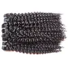 Unprocessed Kinky Curly Cuticle Aligned Hair Brazilian Virgin Human Hair Bundles 5Pcs 500g Lot 10Inches To 30Inches Cut From One Donor Hair