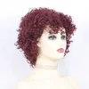 Zhuohuang Afro Kinky Curly合成毛ウィッグシミュレーション人間 - 髪Pelucas de Cabello Humano Wigs 001＃