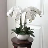 1 conjunto de orquídeas de alto grau sentimento mão mesa mesa arranjo sem vaso decoração de escritório em casa de flor artificial