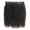 Naturfärg 3 buntar Jerry Curly Human Hair Extensions Afro Style Brasilianska Peruanska Malaysiska Indiska Remy Weft