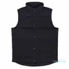 Beroemde casual down winter jas mannen vrouwen hoge kwaliteit designer parka jas mode heren winter vest maat S-2XL wulong