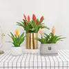 3 PCS / LOT 시뮬레이션 열대성 즙이 많은 식물 플라스틱 가짜 꽃 도매 DIY 실내 거실 홈 인공 인공 식물