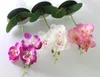 10 Set phalaenopsis en pot fleur d'orchidée artificielle + feuille de mousse + vase en plastique simulation fleur maison décor de Noël bonsaï cadeau