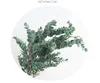 Symulowana roślina Eucalyptus Chryzantema Dekoracja Liść Zielona Roślina Materiał Materiał Organ Kwiatowy Pakiet 20 sztuk / partia Y021