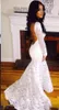Robes de mariée en dentelle dos nu 2019 été pure manches longues sirène robe de mariée queue de poisson balayage train pas cher robes de mariée sur mesure