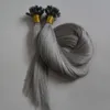 Silver Grey Hair Extensions 1g U Tips Hårförlängningar 100g U Tips Fusion Hair Extension Pre Bonded Virgin Rak Human 100s