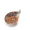 Natural Stone Chrysanthemum Fossil Pendant Silver Plated Bail Men and Women Fashion Jewelry Popular Minimalist Style