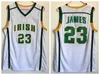 High School LeBron James Jerseys 23 Men Basketball Irish St. Vincent Mary Jerseys For Sport Fans Team Green Away Brown White Color