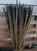 Whole Custom Colors Pheasant Tail Feathers Iewelry Craft Hat Mask Feather Hair Extention 100pcs 20-22inch 50-55cm EEA294-12142
