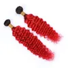 Capelli umani brasiliani Ombre Rosso Onda profonda 2 pacchi e frontale 3 pezzi Lotto # 1B / Radici nere rosse Ombre ondulate 13x4 Frontale in pizzo con trame