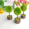 50PCS Spring Wedding Favors Round Topiary Photo Holder/Place Card Holder Garden Themed Party Decoratives Name Card Clips