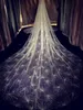 2019 Sparkly Bling Bling Bridal Veil Cathedral Train 3 meter Luxury Shiny Wedding Party Bridal Vit White Champagne275o