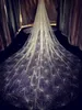 2019 Sparkly Bling Bling Bridal Veil Cathedral Train 3 METERS Luxury Shiny Wedding Party Bridal Veil White Champagne262s