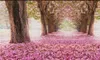 розовые обои вишневое дерево цветы обои ТВ фон стены красивые пейзажи обои