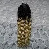 Brasiliansk Micro Ring 100g Kinky Curly Micro Loop Hårförlängningar 100s Micro Loop Hair Extensions Human Hair Extension Ombre