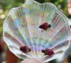 Rainbow Shell Dish Dazzle colour Shell Shaped Glass Plate Wedding Tableware Decoration Fruit Dessert Dishes Cake Plate for Party GGA3207