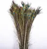 Pure natural peacock feathers imported peacock feathers DIY household Vase Decoration 25-30 cm W816