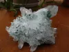 ongeveer 700g Zeldzame Natuurlijke Groene Phantom Quartz Crystal Cluster Minerale Specimen316z