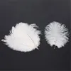 10pcs White ostrich feather plume 20-25cm for wedding centerpiece Wedding decor Party Decor supply feative decor