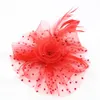 Kobiety Net Hat Feather Hair Klips Kobiety Koktajl Wedding Party Bridal Hat Race Party Włosy Dekoracje Nosić