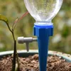 Druppers à eau Système d'irrigation goutte à goutte Wooterrs DIY DRIP AUTOMATIQUES PIOS D'EAU AUCUNÉ