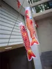 Koinobori koi nobori carp wiatrówki streamery kolorowe dekoracja flagi ryb med ryb latawiec flaga wisząca dekoracje ścienne 40 cm 55 cm 70 cm 16296213