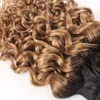 ブラジルの巻き毛の水の波の髪の束1b 27 Ombre Honeyブロンド10 12 14インチ3バンドルレミー人間の髪の伸び卸売