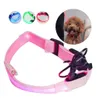 2019 collier de chien LED de charge USB Anti-perte/éviter le collier d'accident de voiture pour chiens chiots conduit LED fournitures produits pour animaux de compagnie S/M/L/XL