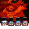 Professionell Tattoo Kits Top Artist Complete Set 1 Tattoo Machine Gun Foder och Shading Inks Power Needles Tattoo Supply