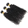 Indian Deep Curly Human Hair Bundles 4pcs Brasilianska hårförlängningar Hela obearbetade 100 Malaysiska jungfruliga kinky lockiga hår W285315661027