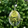 Высушенное цветочное ожерелье Стеклянное дерево жизни террариум ожерелья жены дети модные ювелирные украшения и песчаные