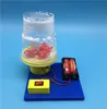 Vetenskapsteknik elektrostatisk elektrisk snö elementära studenter kreativa manuella material experiment pussel montering leksaker