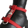 Pet Chest Strap Shining Rhinestone Heart design Vest Harnesses soft comfortableSmall Dog Puppy Cat Leather Leash Pet Supplies