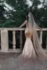 Abiti da sposa champagne musulmani a due pezzi a sirena a maniche lunghe Nigeria con velo lungo 2019 Abiti da sposa sexy in pizzo con applicazioni da sposa